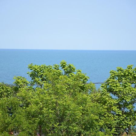 Razvan Holiday Costinesti Exterior photo